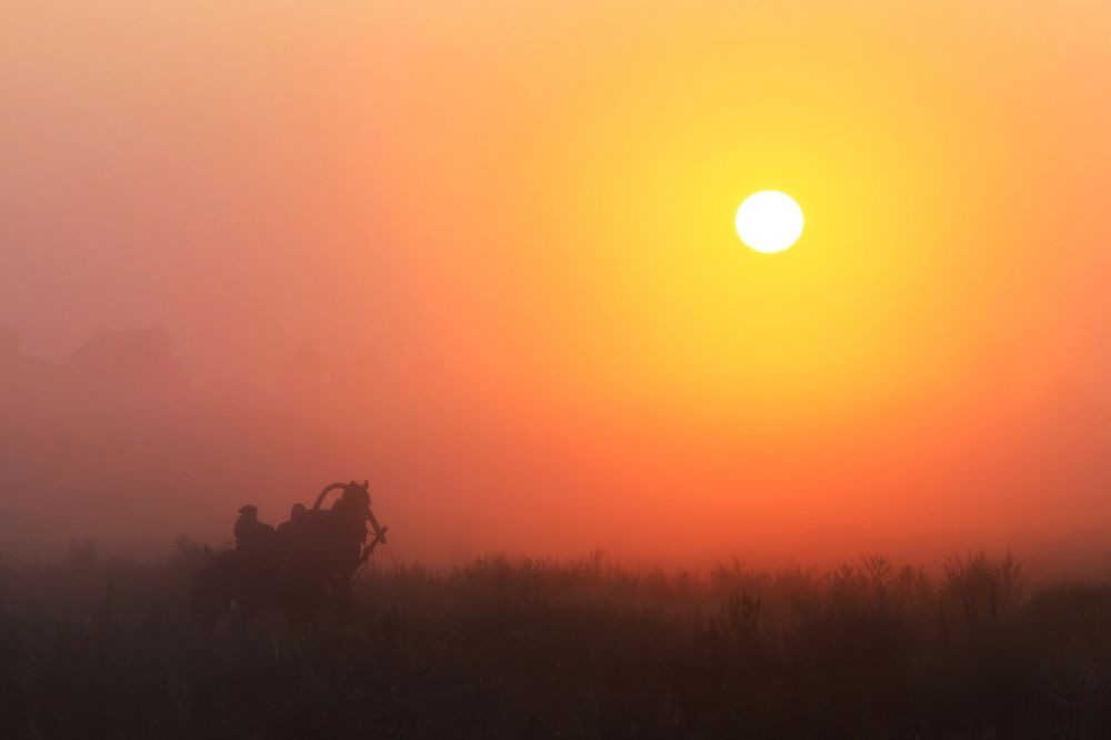 Photograph by Дмиитрий Лабушев