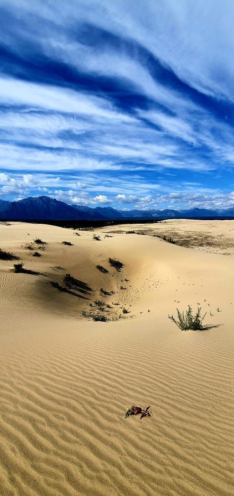 Чарская пустыня