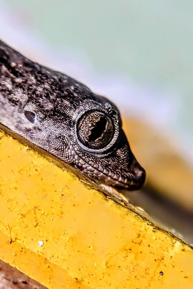 Photograph by Sai Krishna