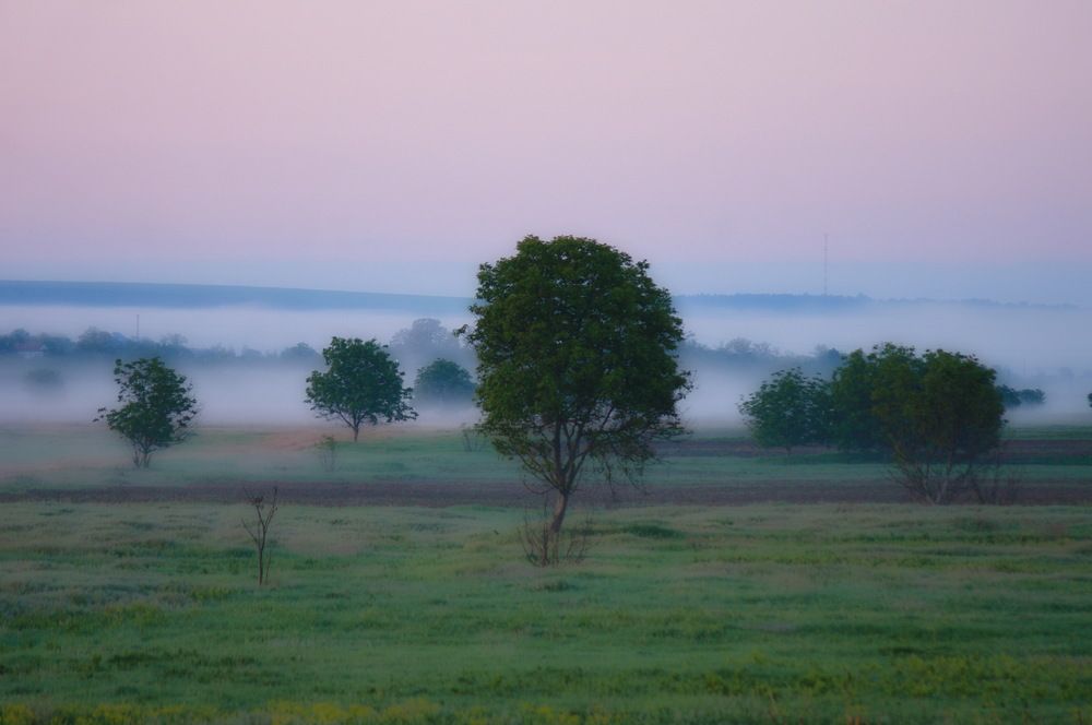 Photograph by Анатолий Святой