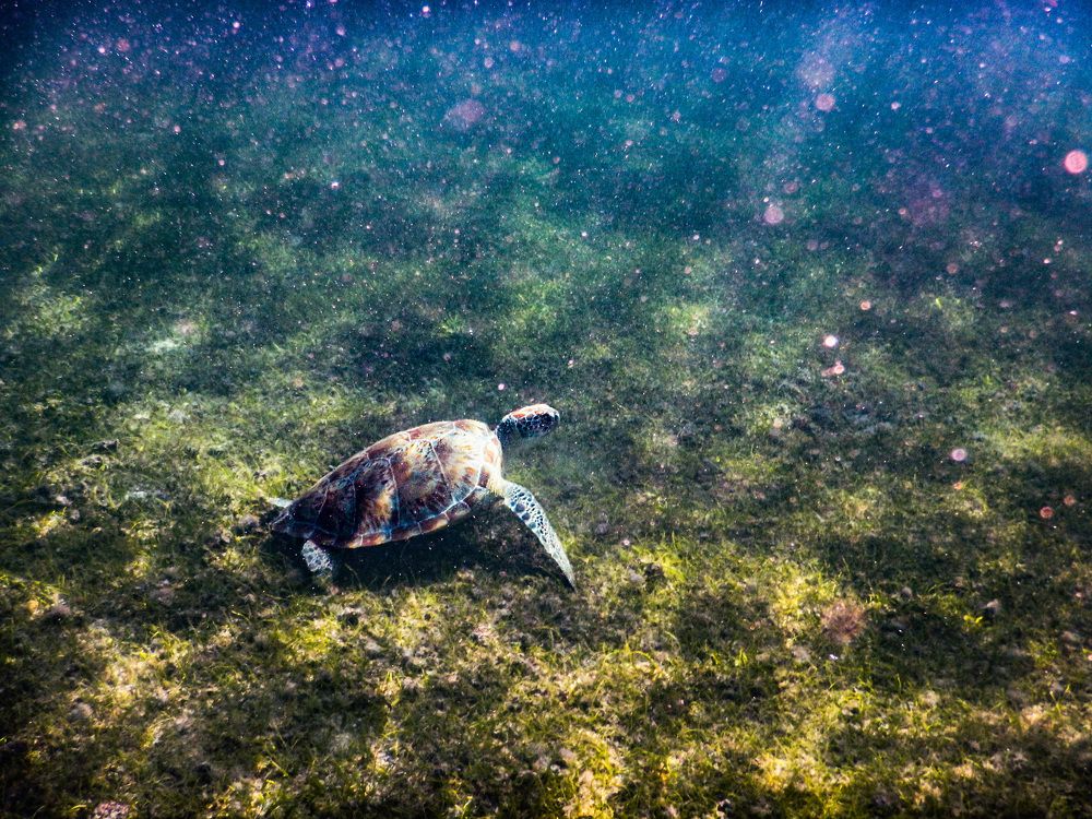 Photograph by Анатолий Костерев