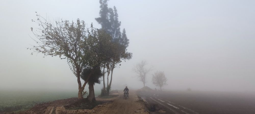 Photograph by Hashem Mohamed