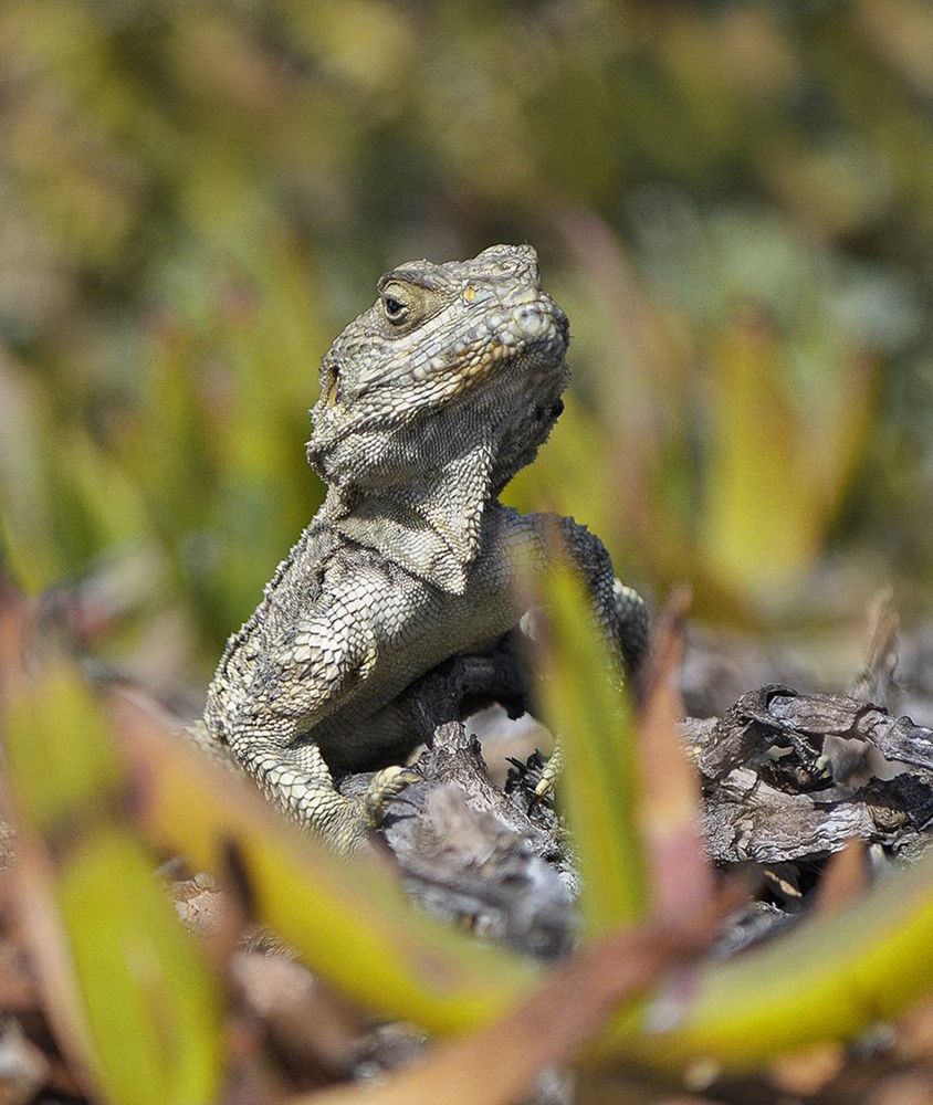 Photograph by Яков