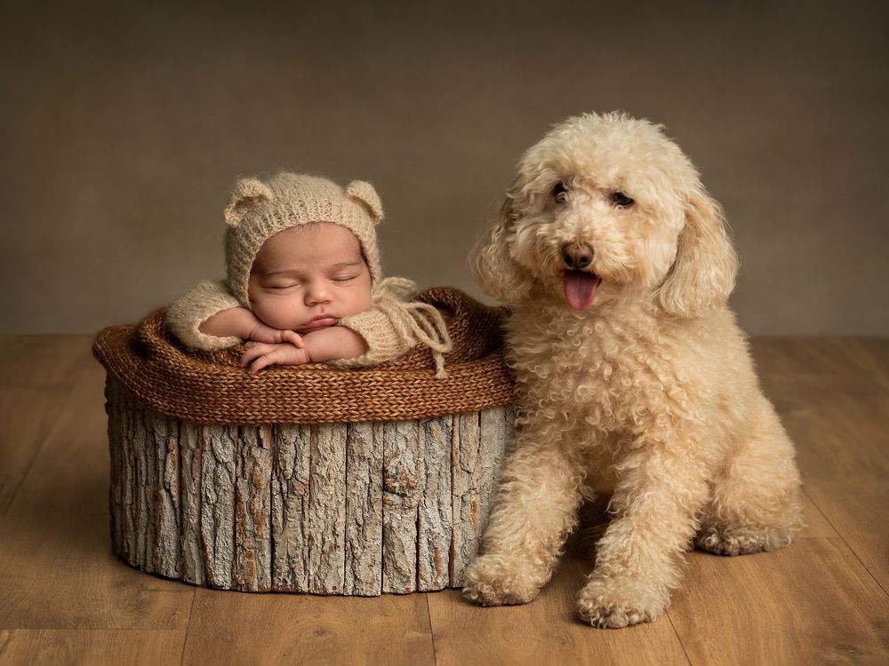 Photograph by Mònica Udina