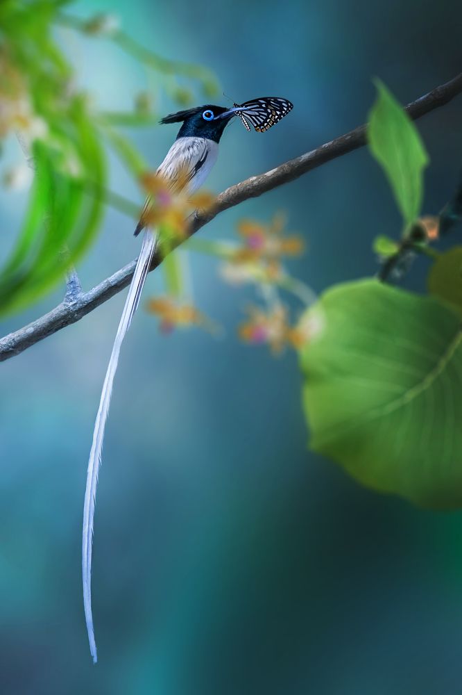 Photograph by Debjyoti Sarkar