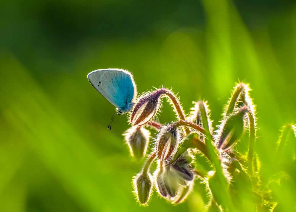 Photograph by Teresa Molinaro