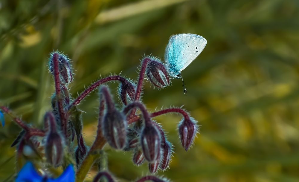 Photograph by Teresa Molinaro