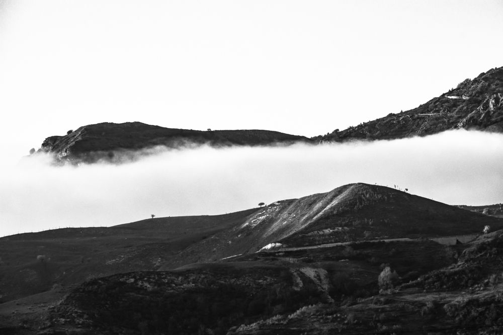 Photograph by Teresa Molinaro