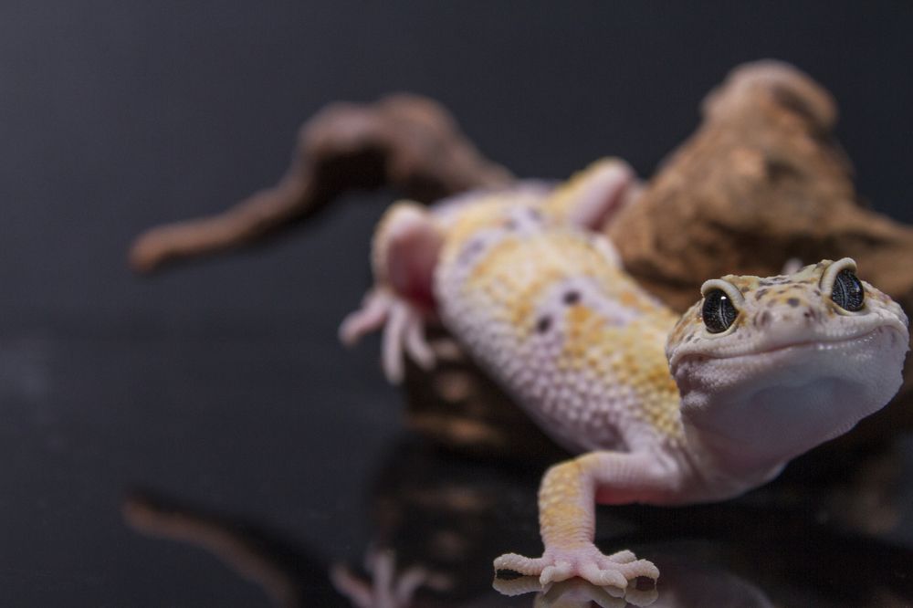 Photograph by Никита Пархоменко