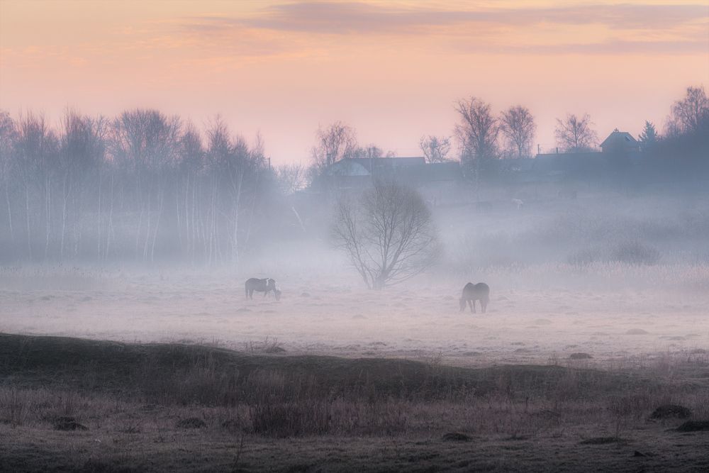 Photograph by Андрей Баскевич
