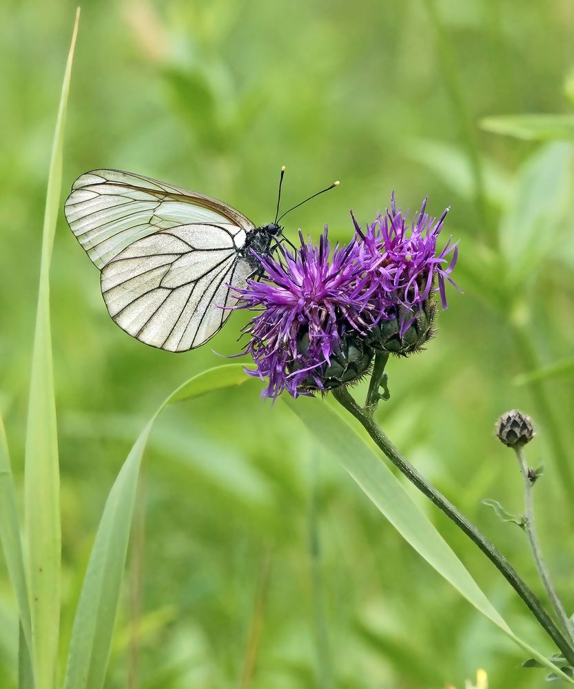 Photograph by Анатолий Максимов