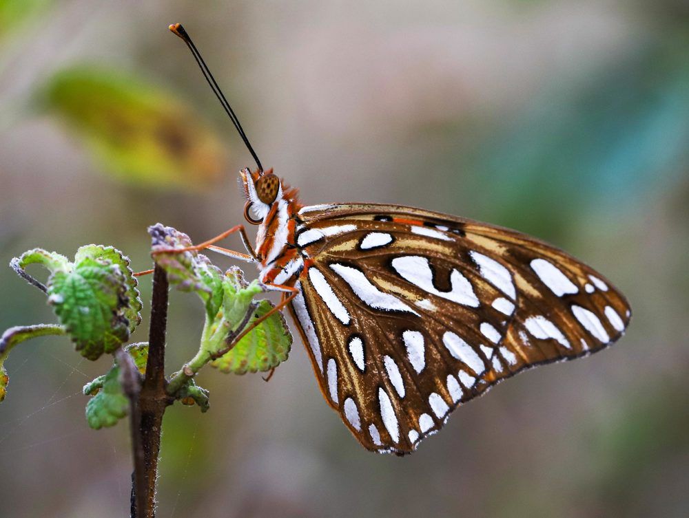 Photograph by Frank cobo blanco