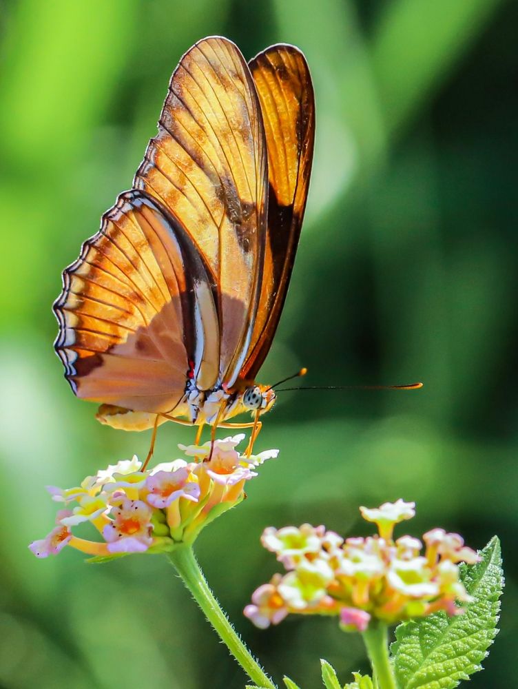 Photograph by Frank cobo blanco