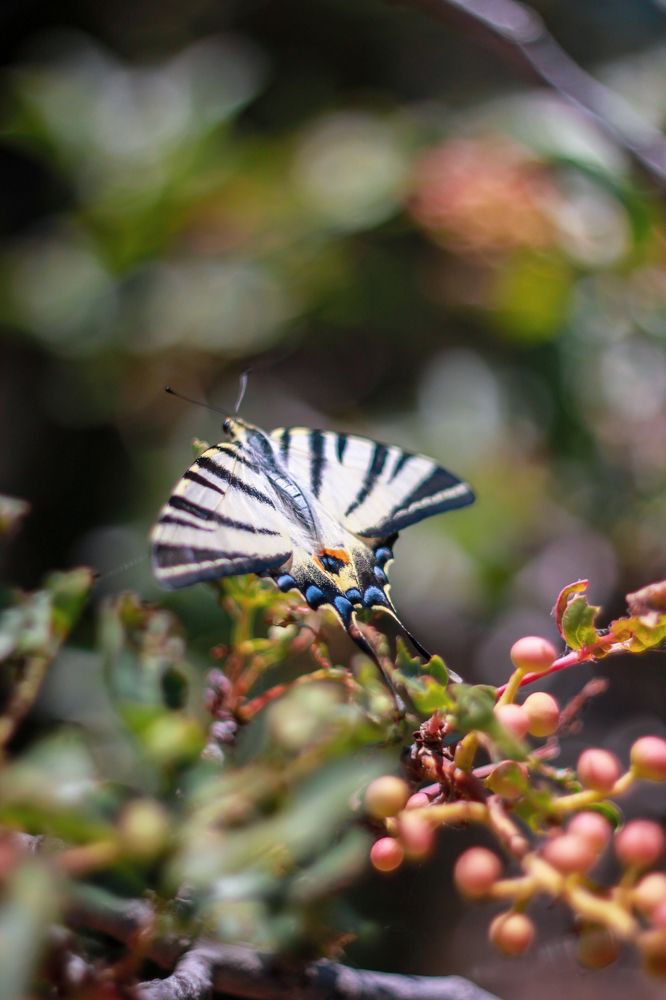 Photograph by Ольга Резникова