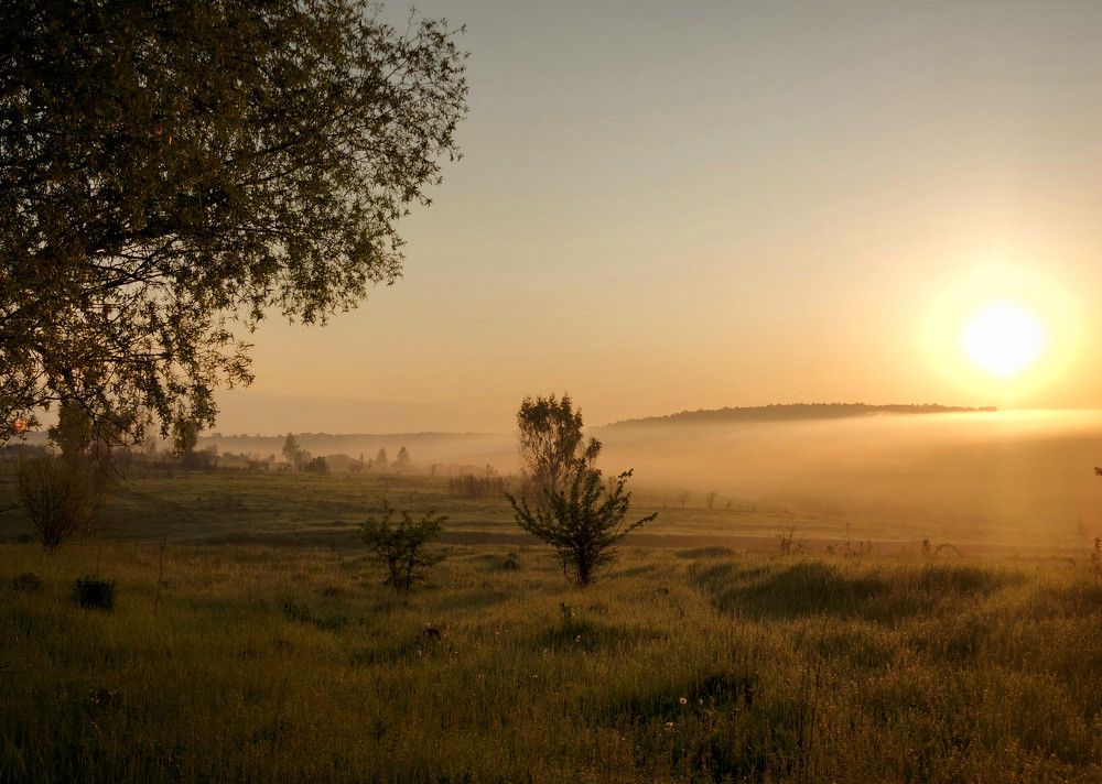 Photograph by Валерий Савостьянов