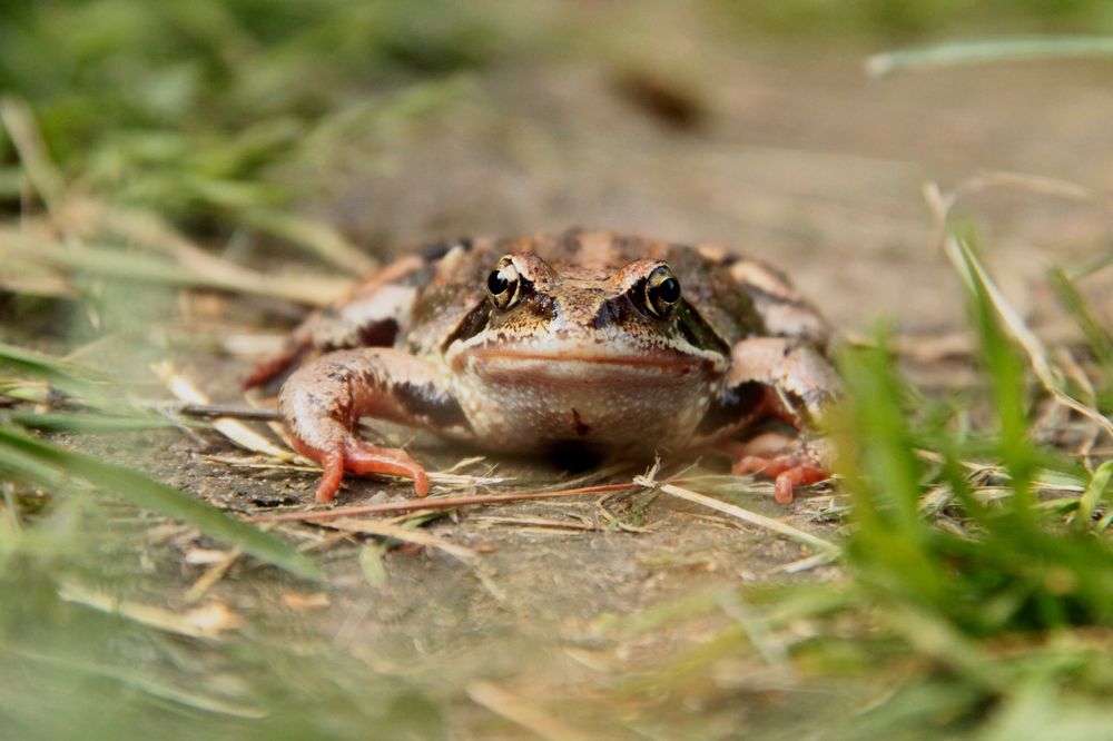 Photograph by Валерия Гуртовая