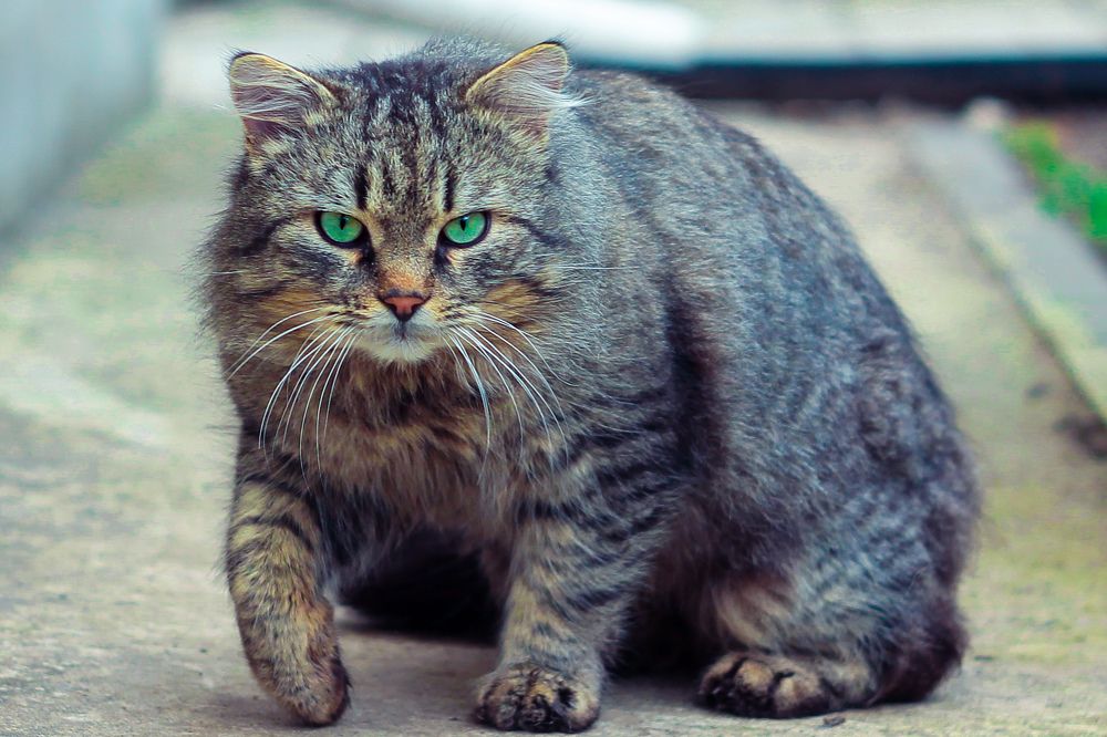 Photograph by Владислав