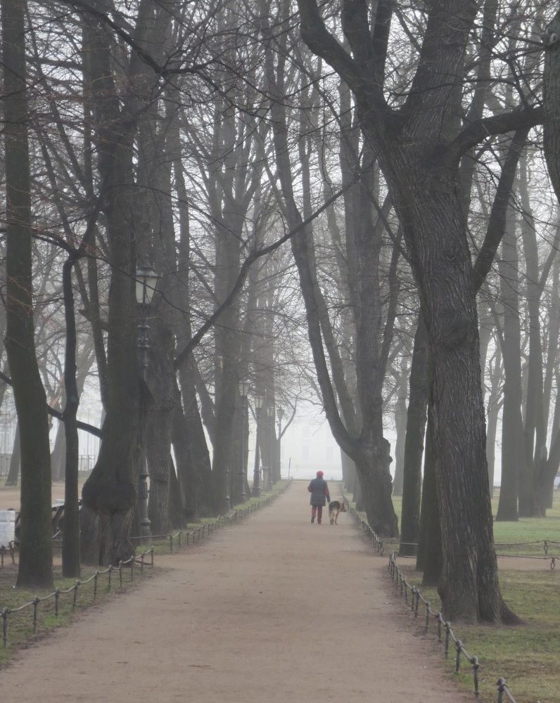 Photograph by Елена Жукова