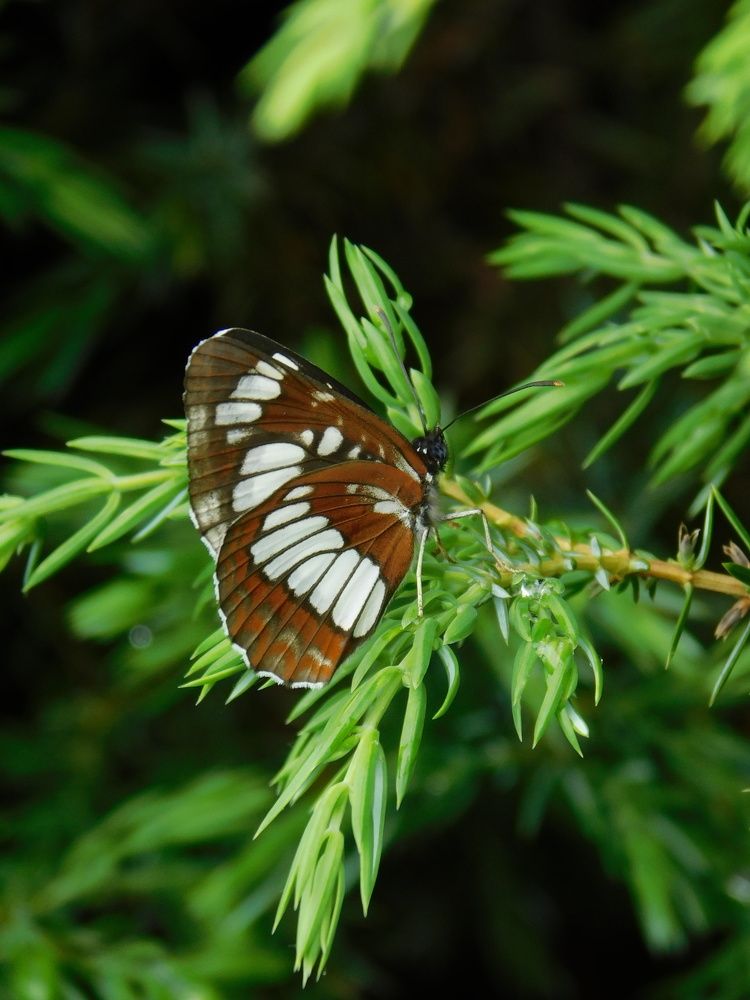 Photograph by Светлана Филимонова