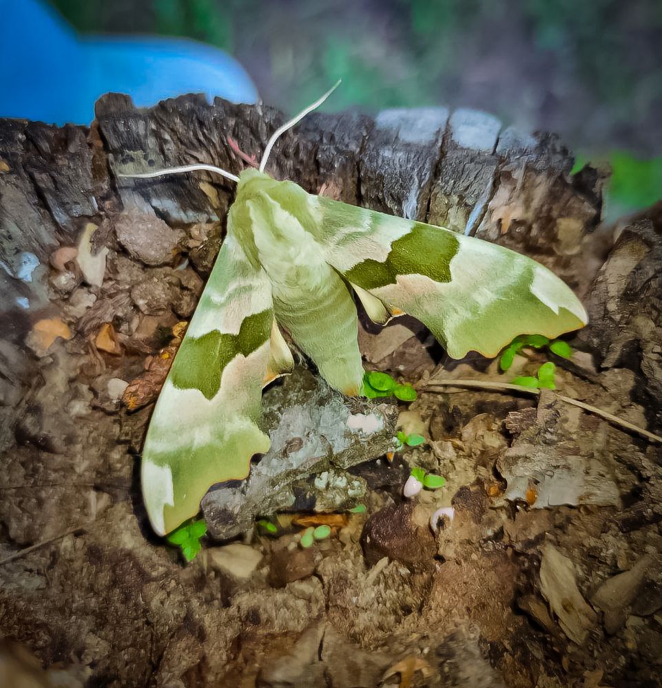 после долгого полта