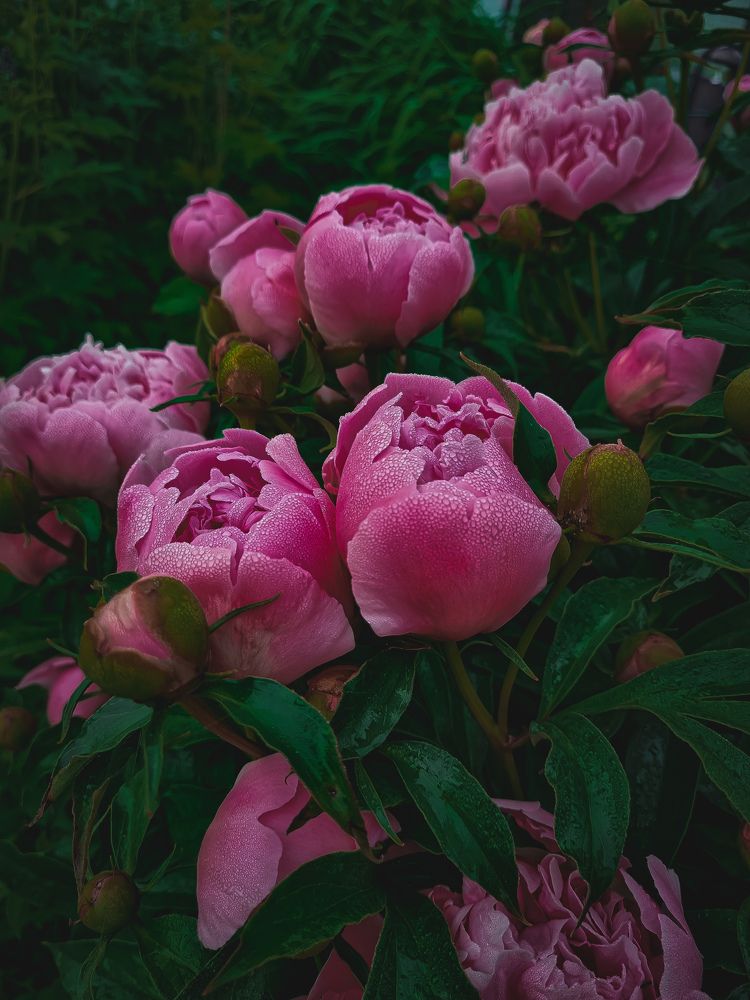 Photograph by Ирина Герлин