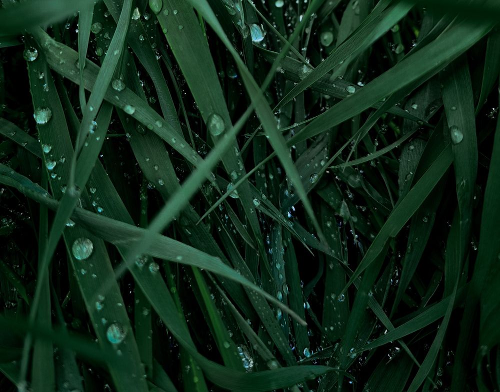 Photograph by Ирина Герлин