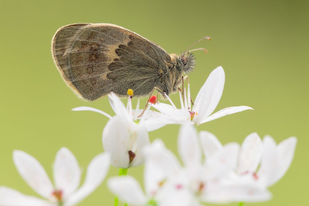 Photograph by Fabio Cartelli