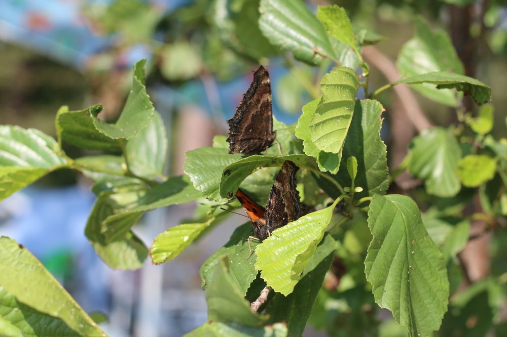 Photograph by Софья Белоногова