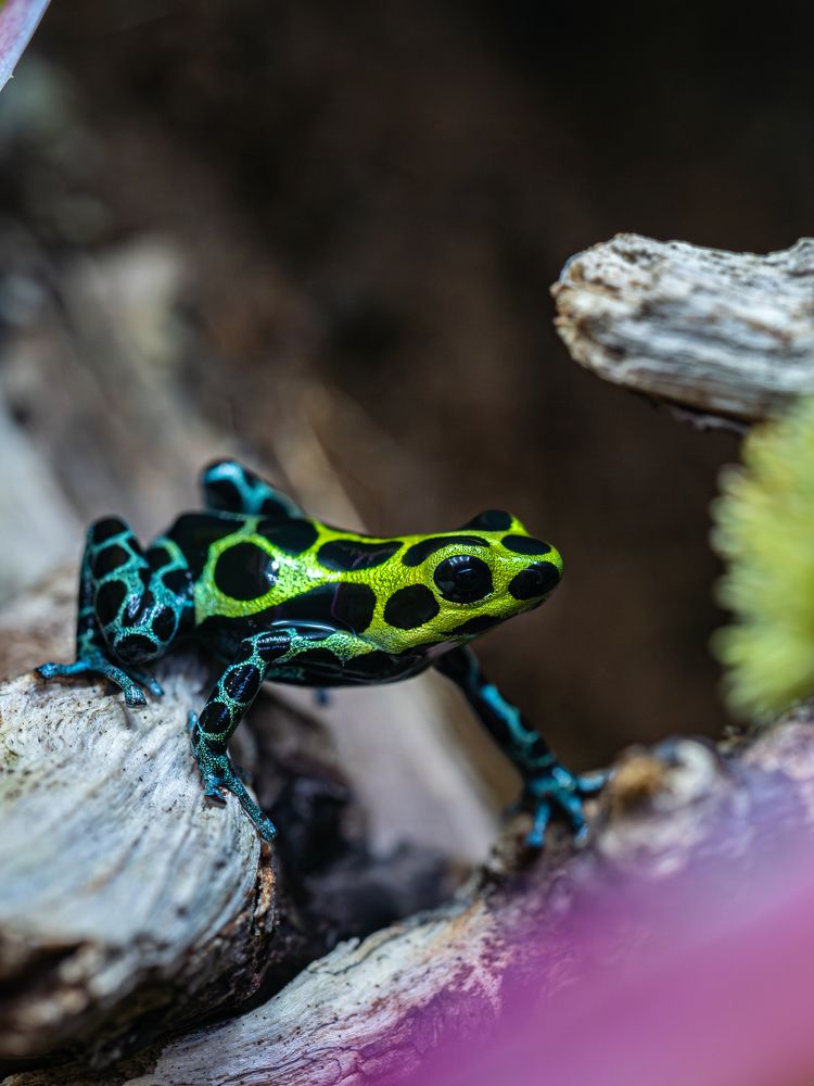 Photograph by Olga Link