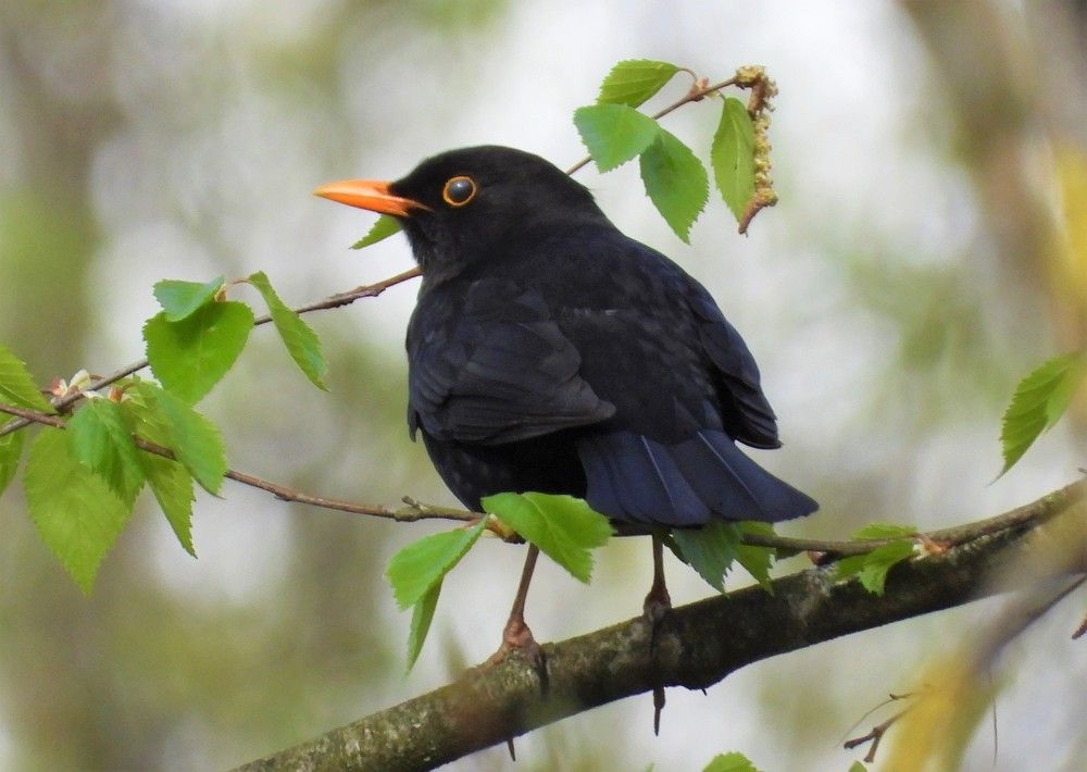 Photograph by Владимир Джерихов