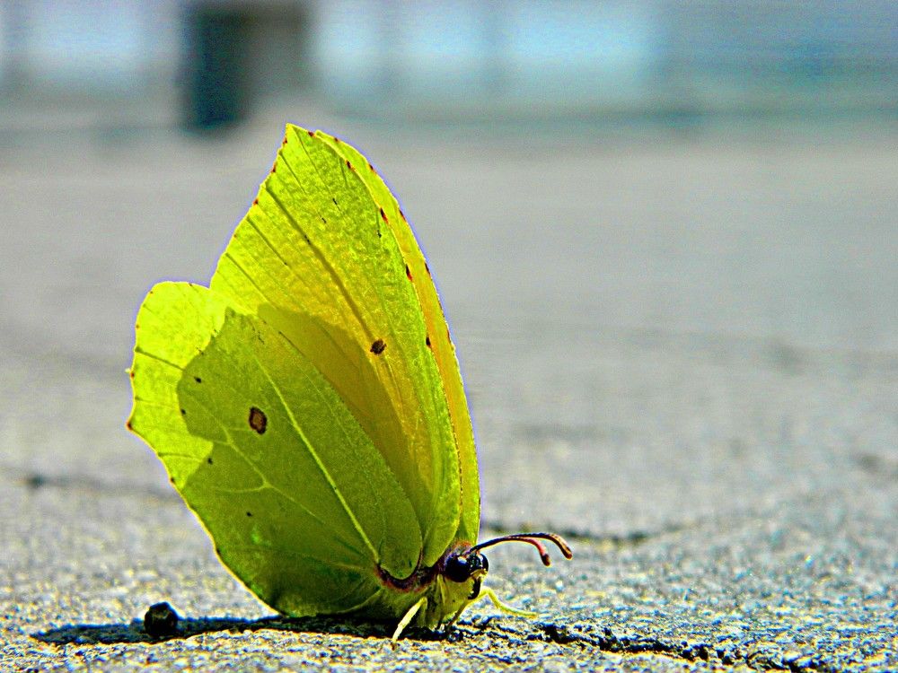 Photograph by Сергей Рапопорт