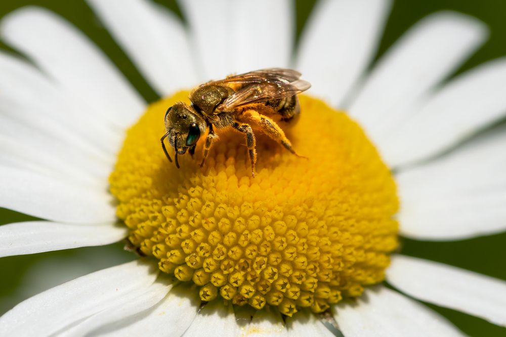 Photograph by Gregor Kobilica