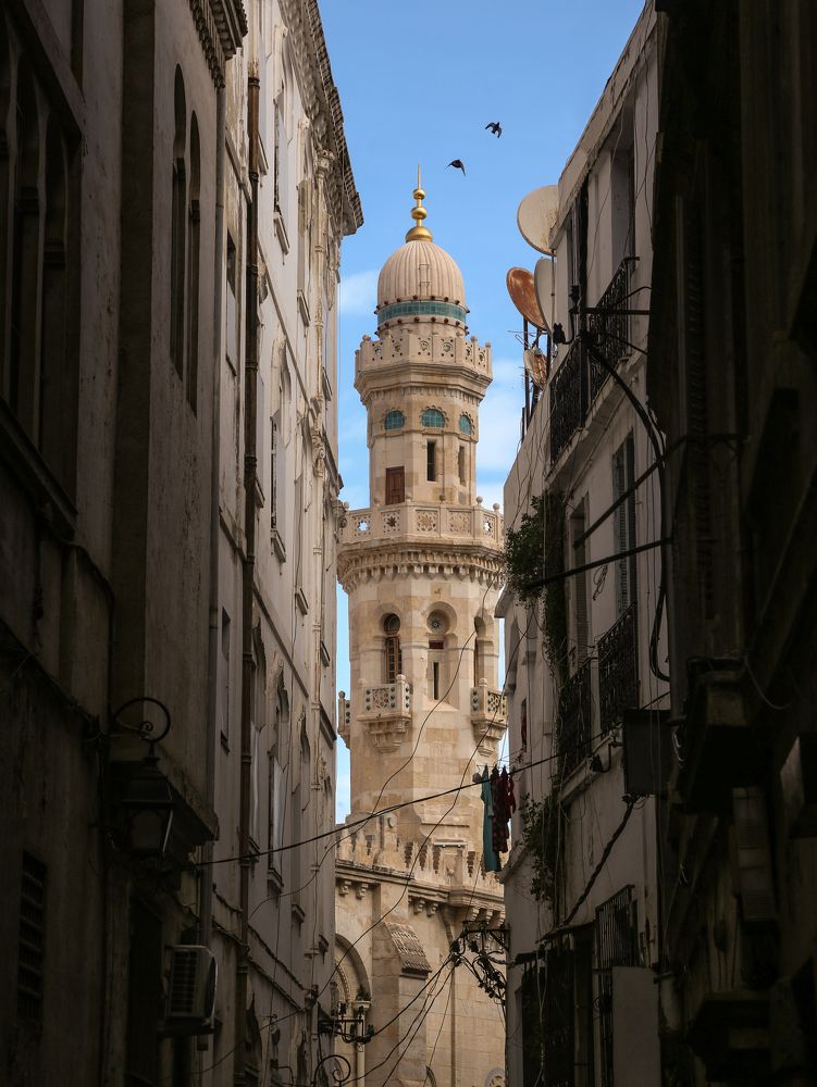 Photograph by elyes14