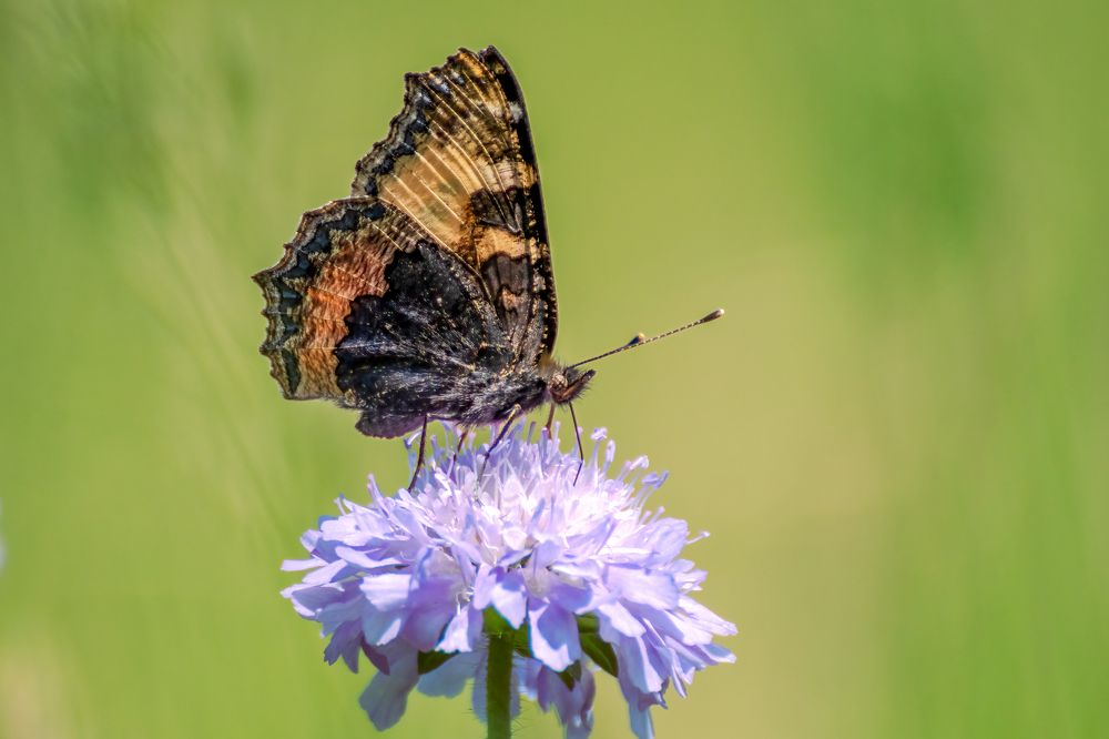 Photograph by Gregor Kobilica