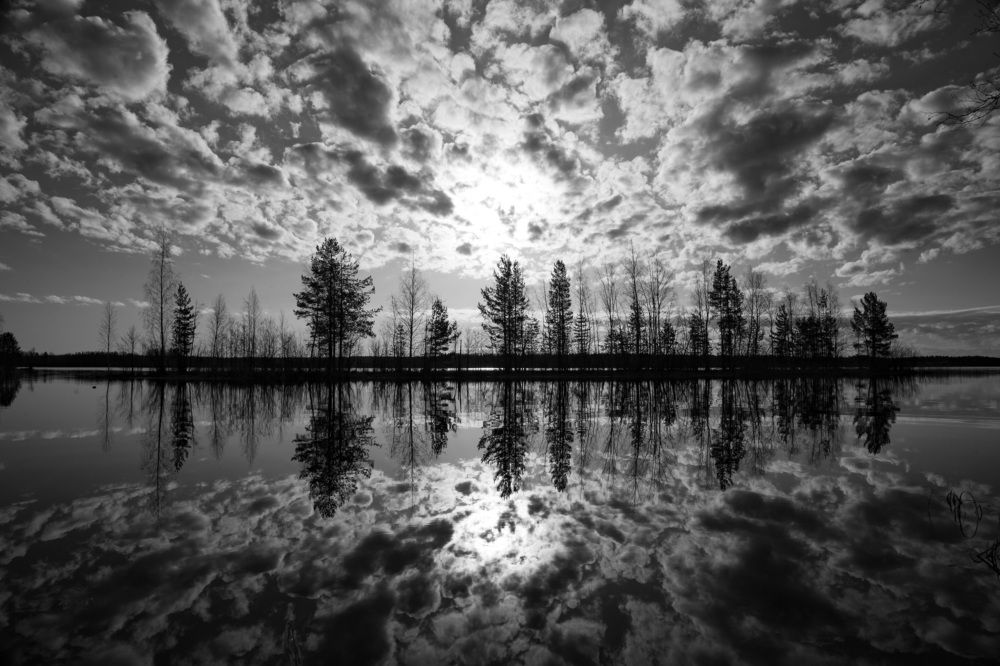 Photograph by Lev Kaufman