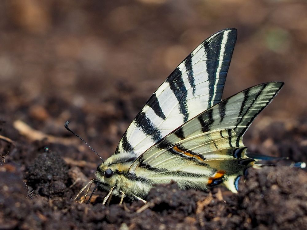 Photograph by Евгений Фазлеев