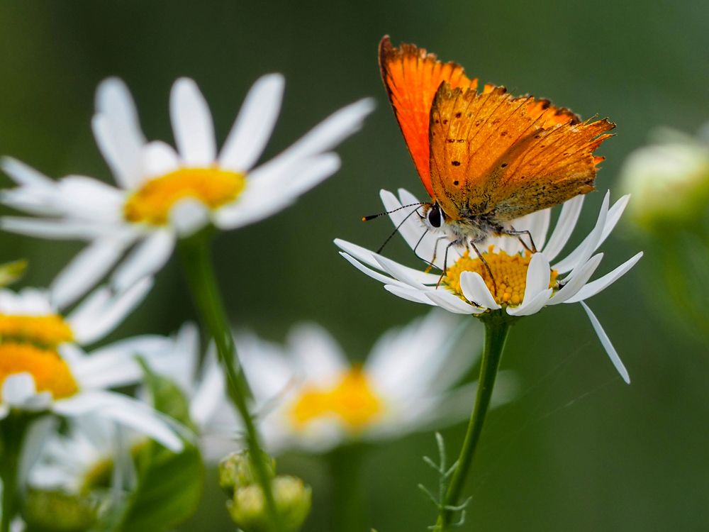 Photograph by Евгений Фазлеев
