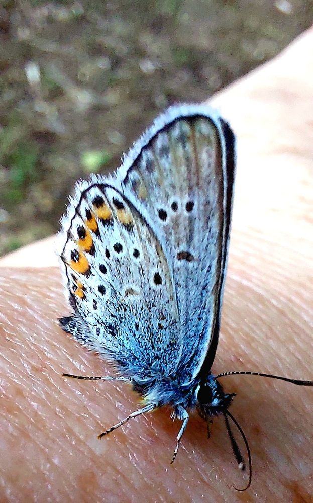 Photograph by Марина Жарикова
