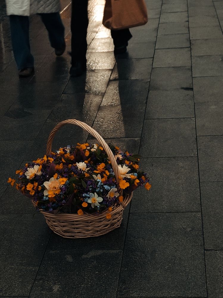 Photograph by Светлана Холодова