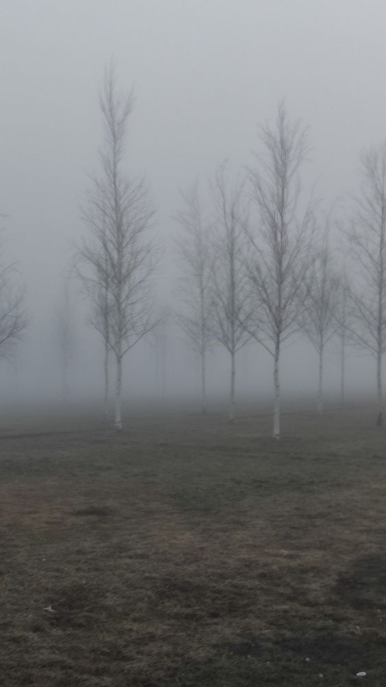 Photograph by Светлана Холодова