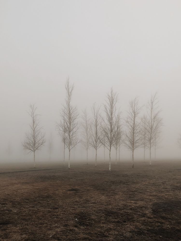 Photograph by Светлана Холодова