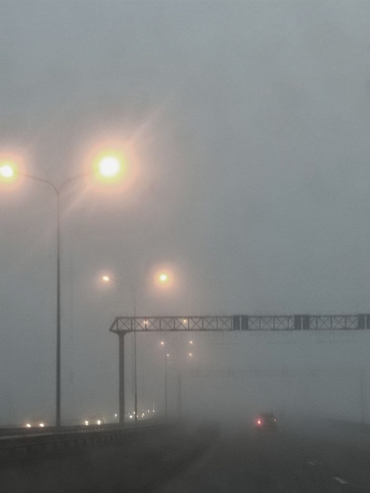 Photograph by Светлана Холодова