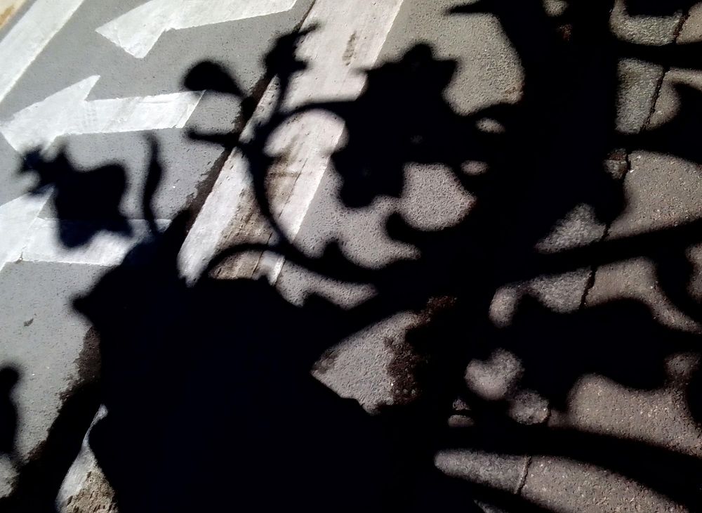 Photograph by Irina Mihailovskaya