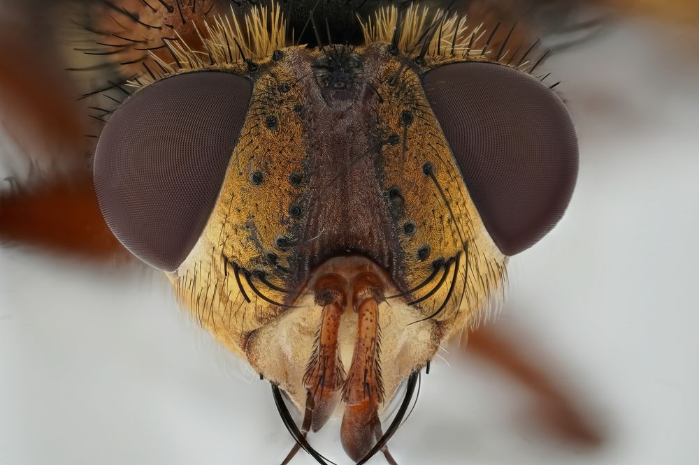 Photograph by Александр Трипольский