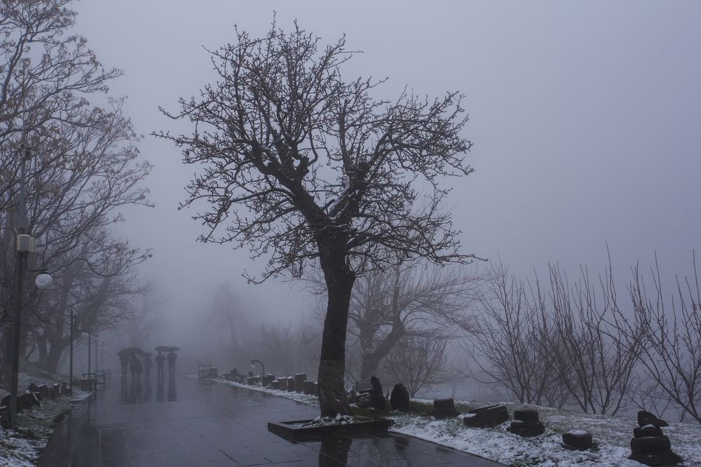 Photograph by Владимир Макаров