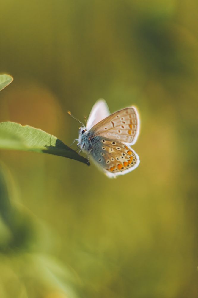 Photograph by Ольга Резникова