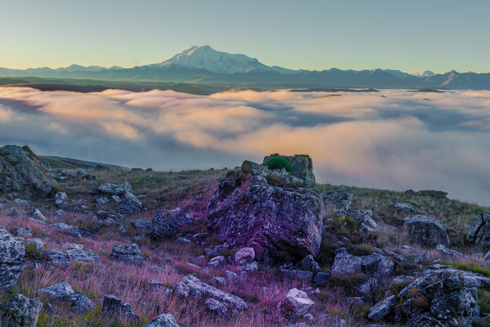 Photograph by Anatoly