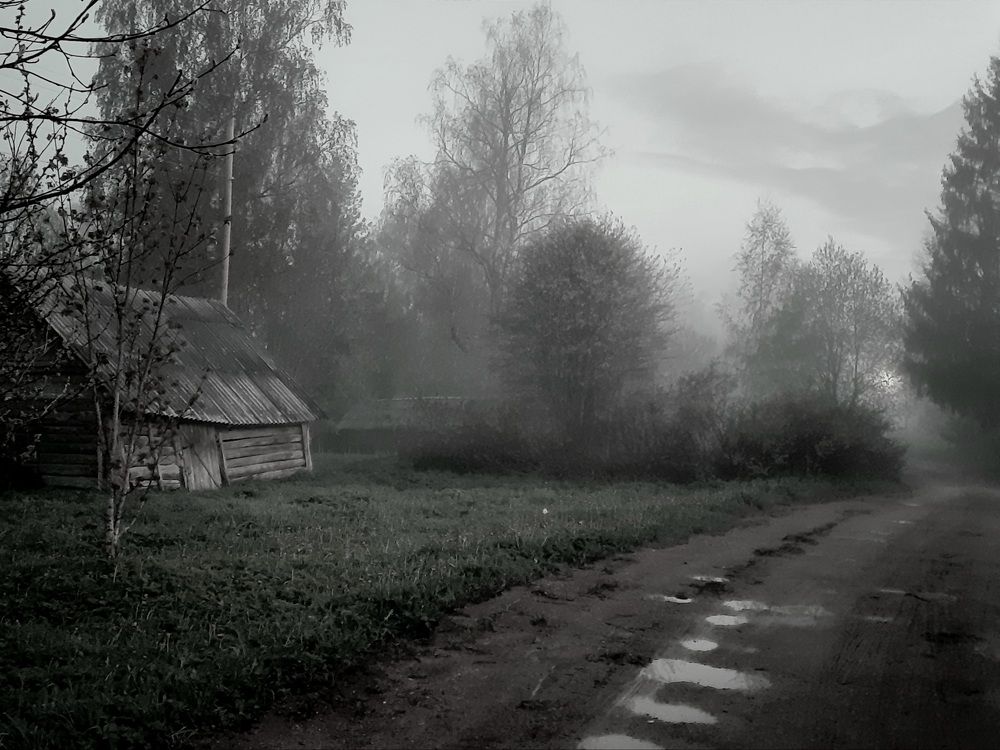 Photograph by Людмила Щепилова