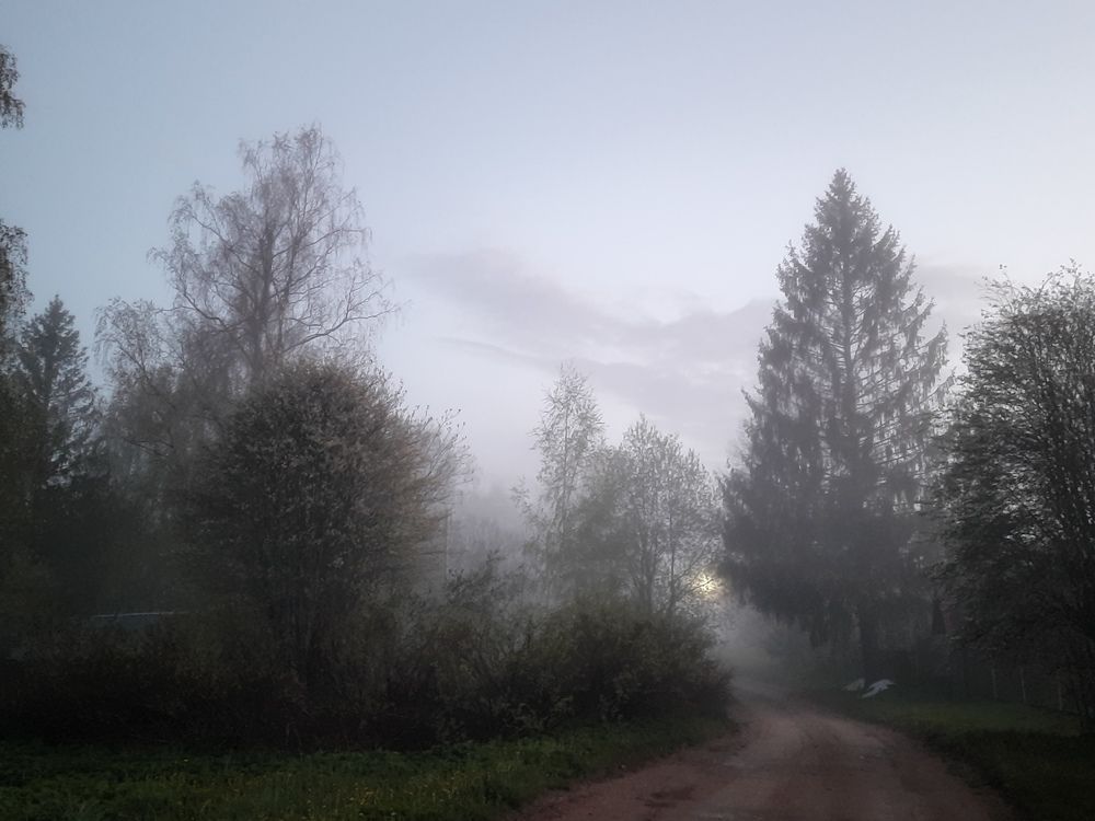 Photograph by Людмила Щепилова