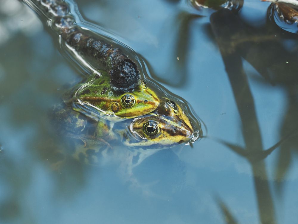 Photograph by Ирина Протченко